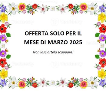 OFFERTA imbrago disabili SOLO PER MARZO
